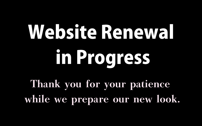 Temporary Pause for Website Renewal