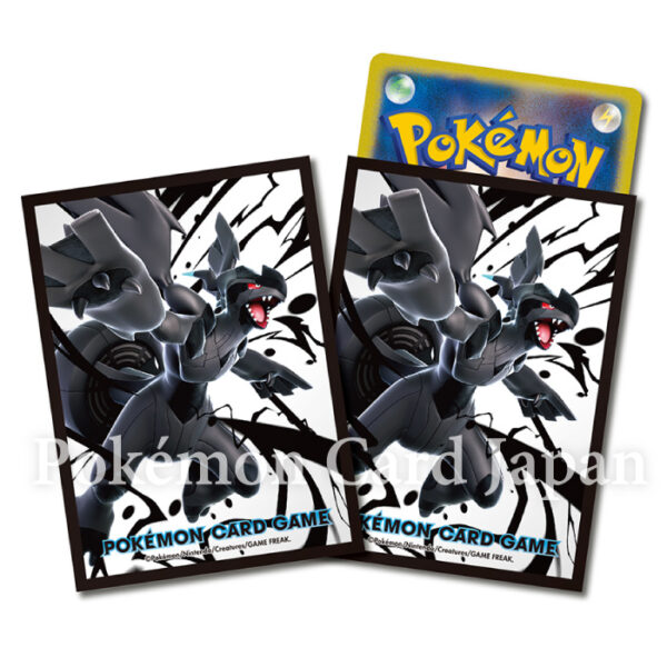 Zekrom Deck Shield Pokemon Card TCG