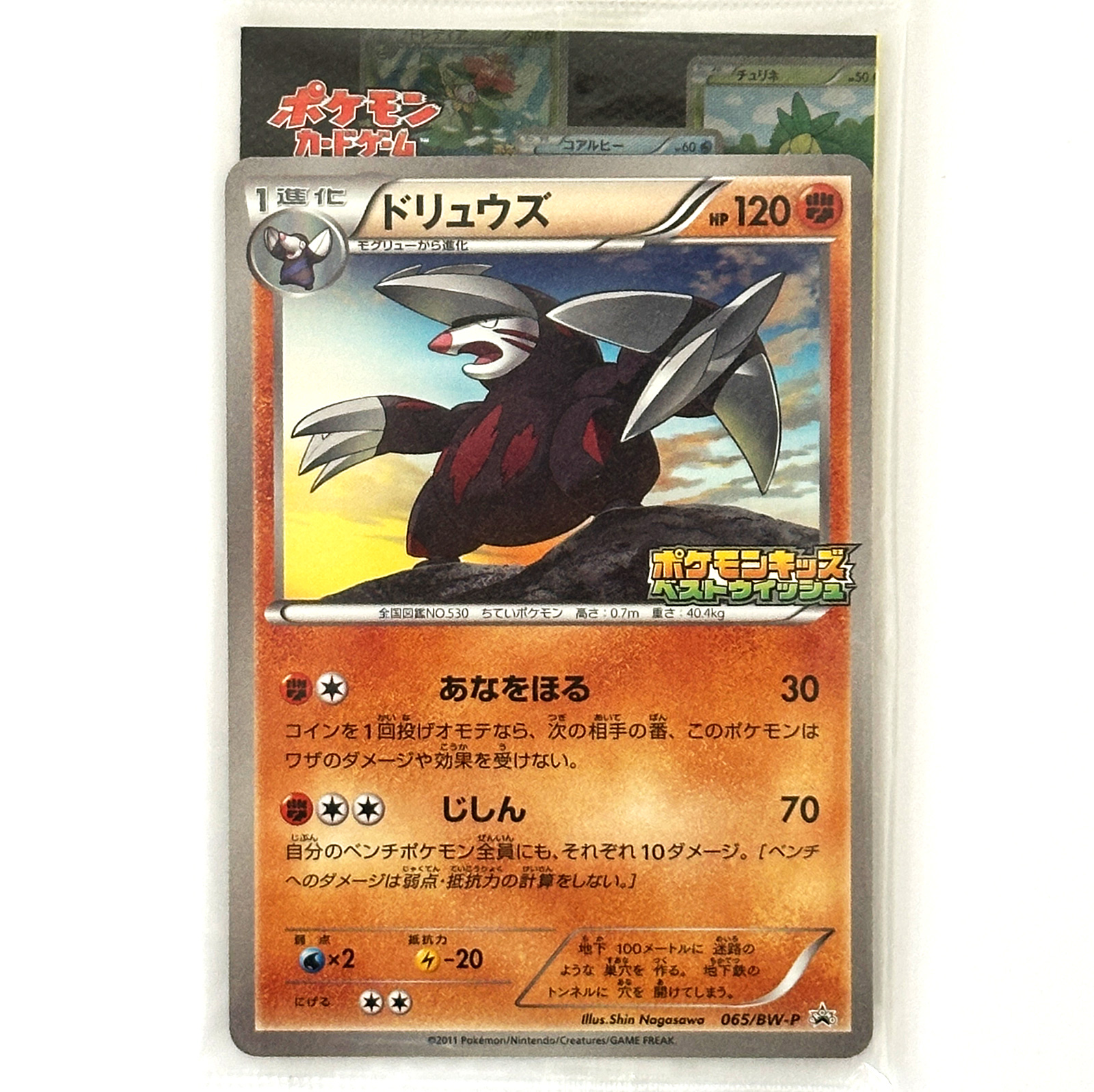 Excadrill BW-P Promo 065/BW-P Sealed  Pokmon Card Japanese - Pokemon Card  Japan