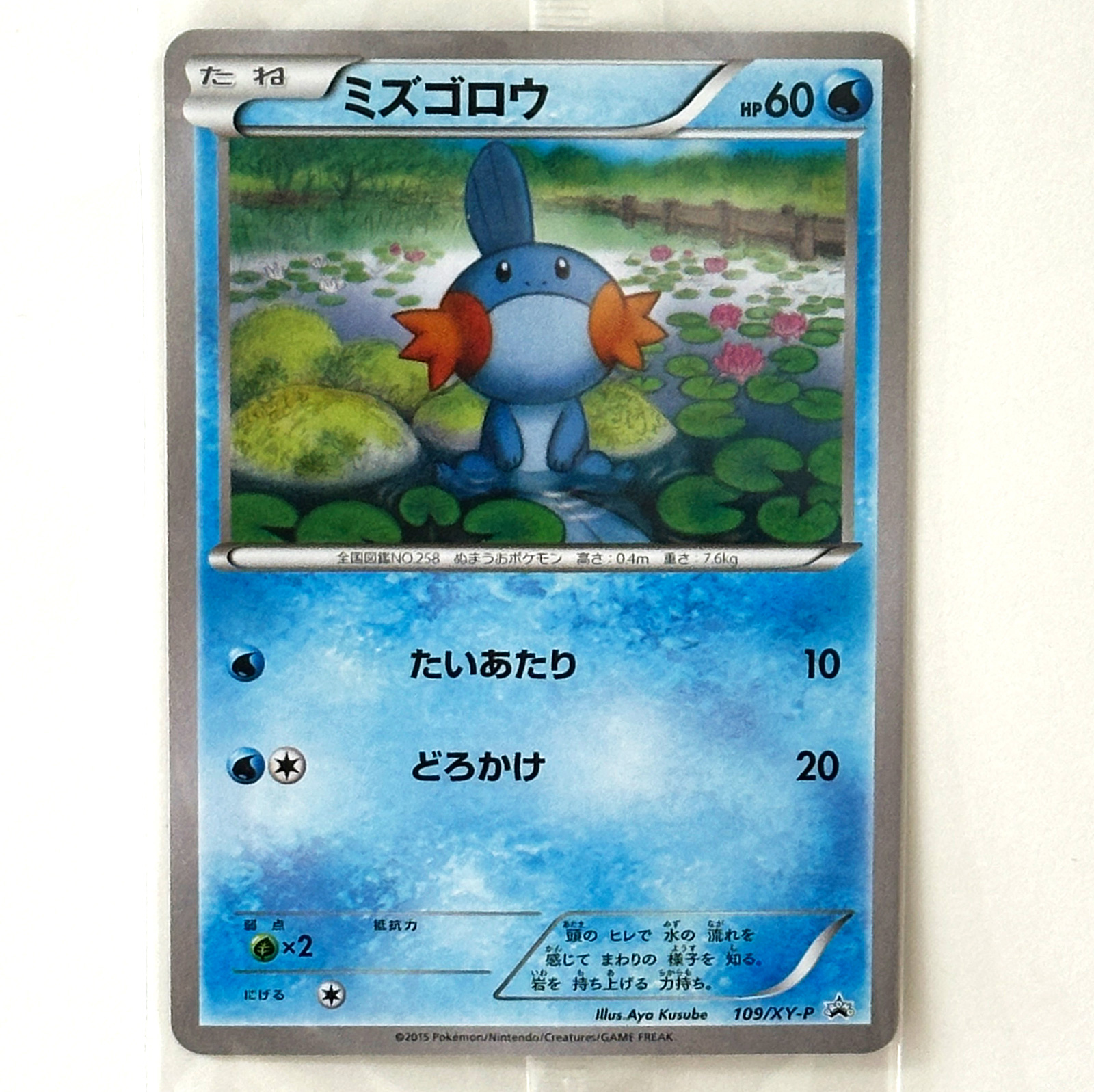 Mudkip XY Promo 109/XY-P Sealed Pokmon Card Japanese - Pokemon Card Japan Mudkip XY Promo 109/XY-P Sealed Pokmon Card Japanese - Pokemon Card Japan