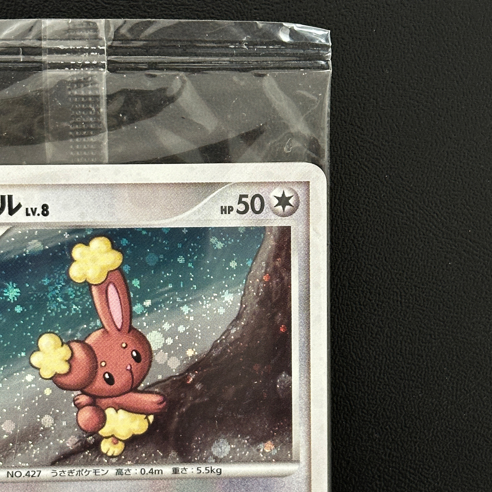 Lopunny & Buneary DP Promo 116/DP-P 115/DP-P Sealed  Pokmon Card Japanese  - Pokemon Card Japan
