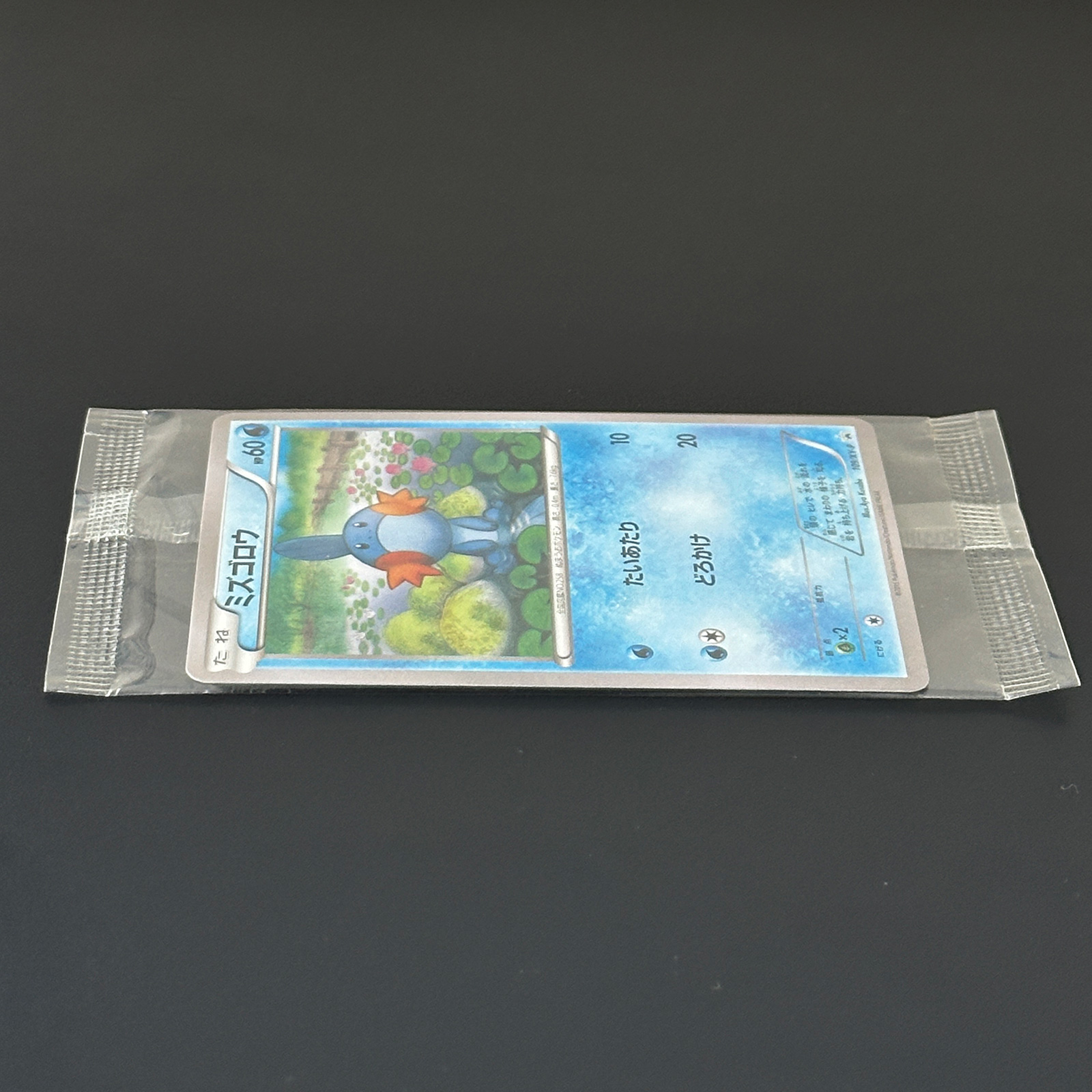 Mudkip XY Promo 109/XY-P Sealed – Pokémon Card Japanese