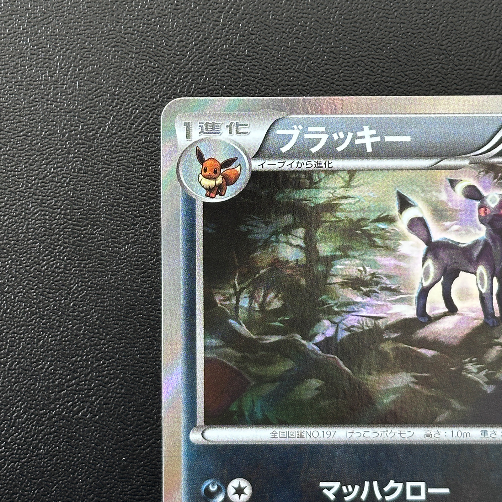 Umbreon Pokmon Card Gym Promo 140/XY-P Pokmon Card Japanese - Pokemon Card Japan Umbreon Pokmon Card Gym Promo 140/XY-P Pokmon Card Japanese - Pokemon Card Japan