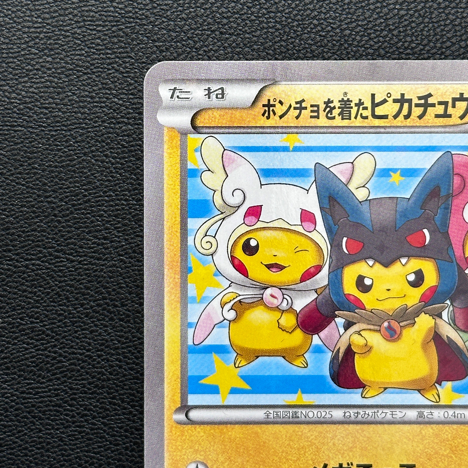 Poncho Pikachu XY Promo 203/XY-P – Pokémon Card Japanese