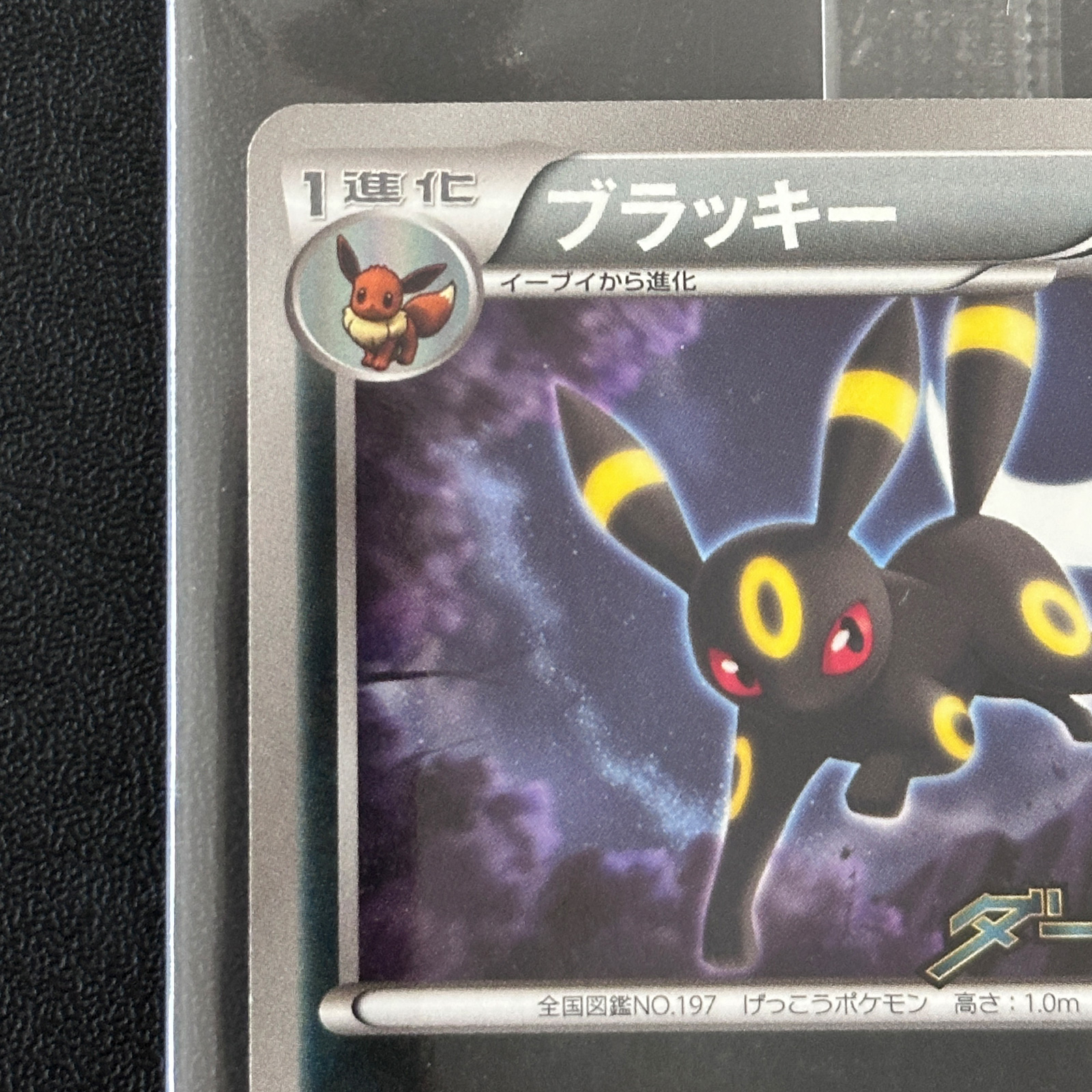 pokemon umbreon promo card POKMON GAME S8a-P 012/025 The item available is listed in the Title Umbreon Promo 115/BW-P Sealed Non-Holo