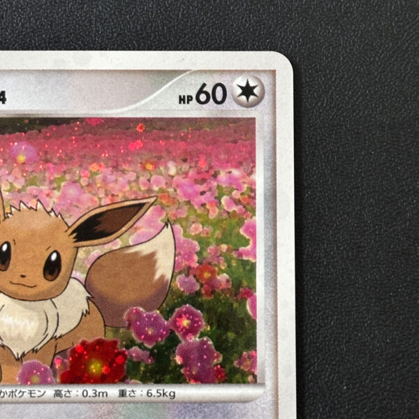 Eevee Promo 063/DP-P Holo, Back Whitening – Pokémon Card Japanese