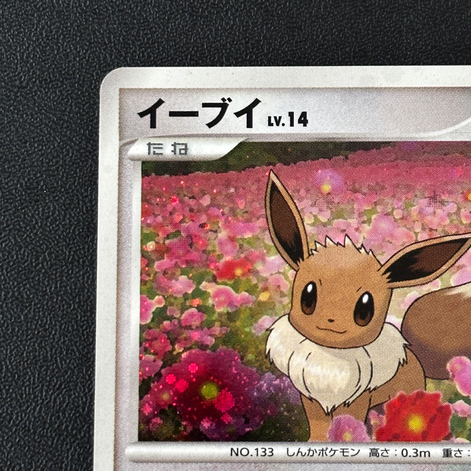 Eevee Promo 063/DP-P Holo, Back Whitening – Pokémon Card Japanese