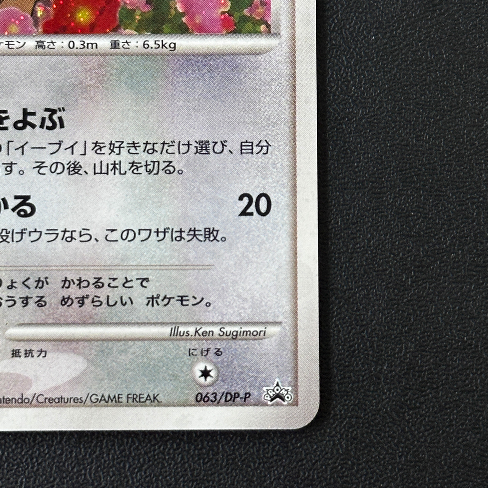 Eevee Promo 063/DP-P Holo, Back Whitening – Pokémon Card Japanese