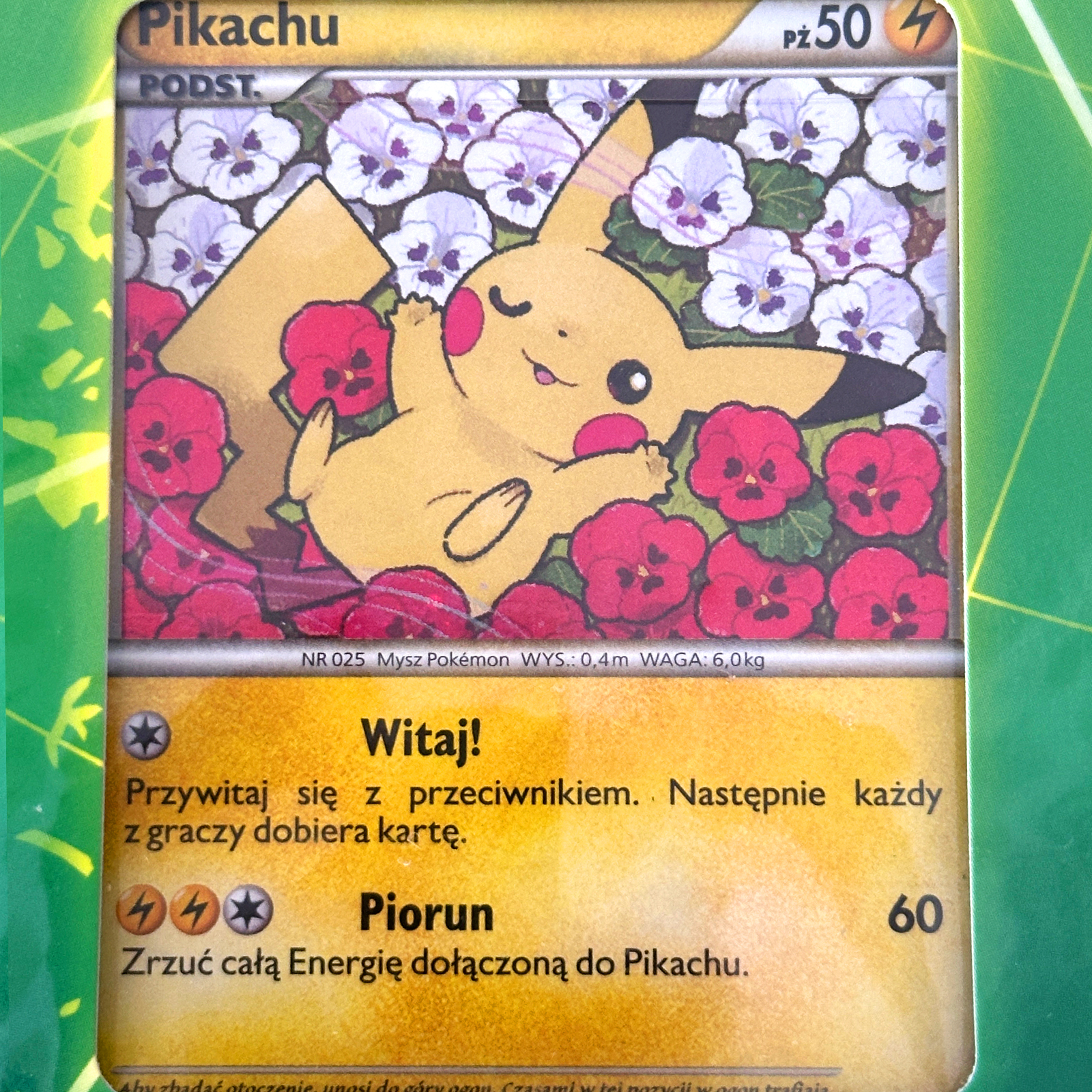 Pikachu World 9-Card Set Seven-Eleven Pokémon Center Original Version Sealed – Pokémon Card Japanese