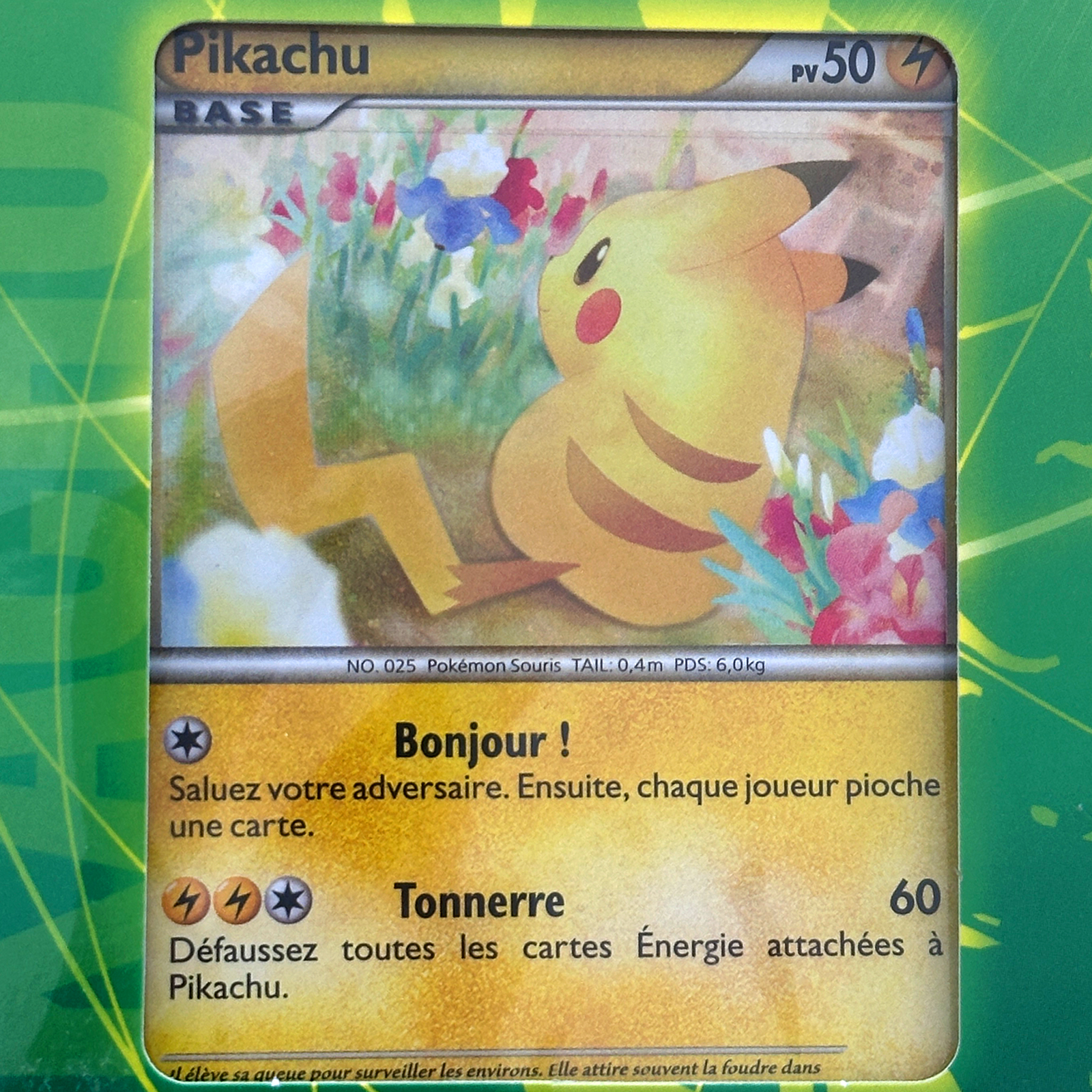 Pikachu World 9-Card Set Seven-Eleven Pokémon Center Original Version Sealed – Pokémon Card Japanese
