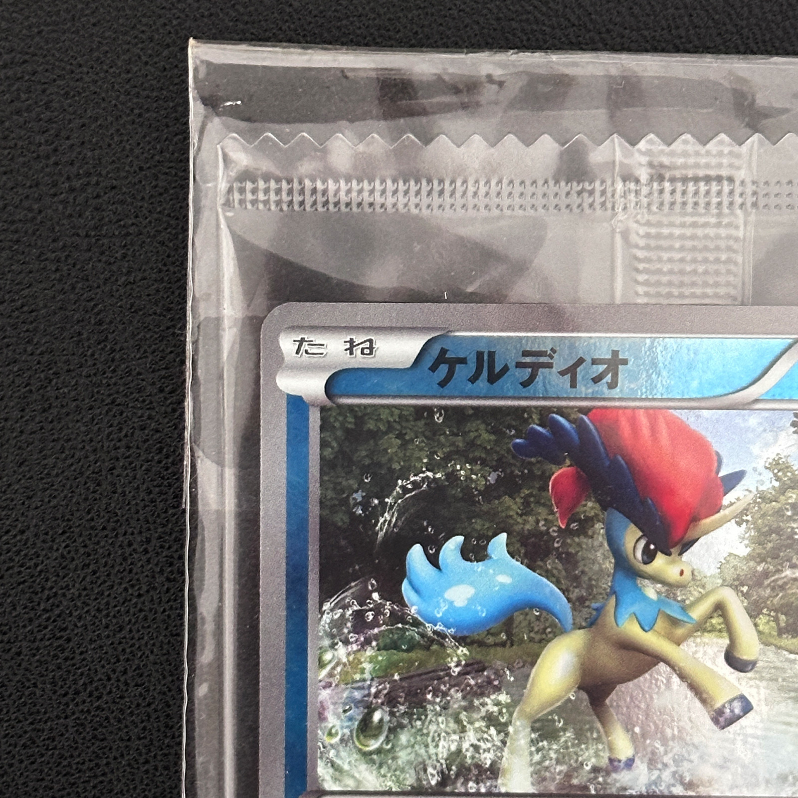 Keldeo BW-P Promo 162/BW-P Sealed – Pokémon Card Japanese