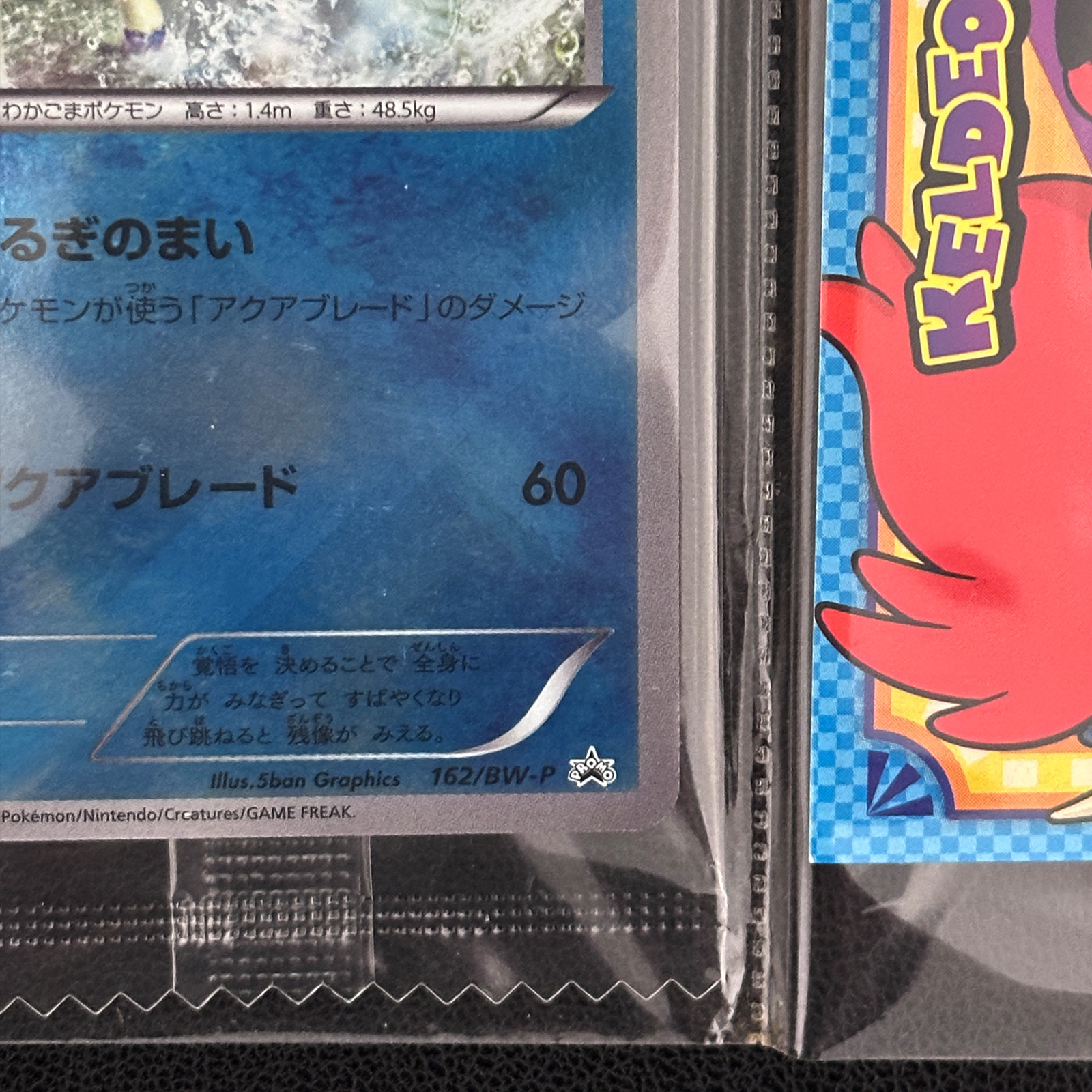 Keldeo BW-P Promo 162/BW-P Sealed – Pokémon Card Japanese