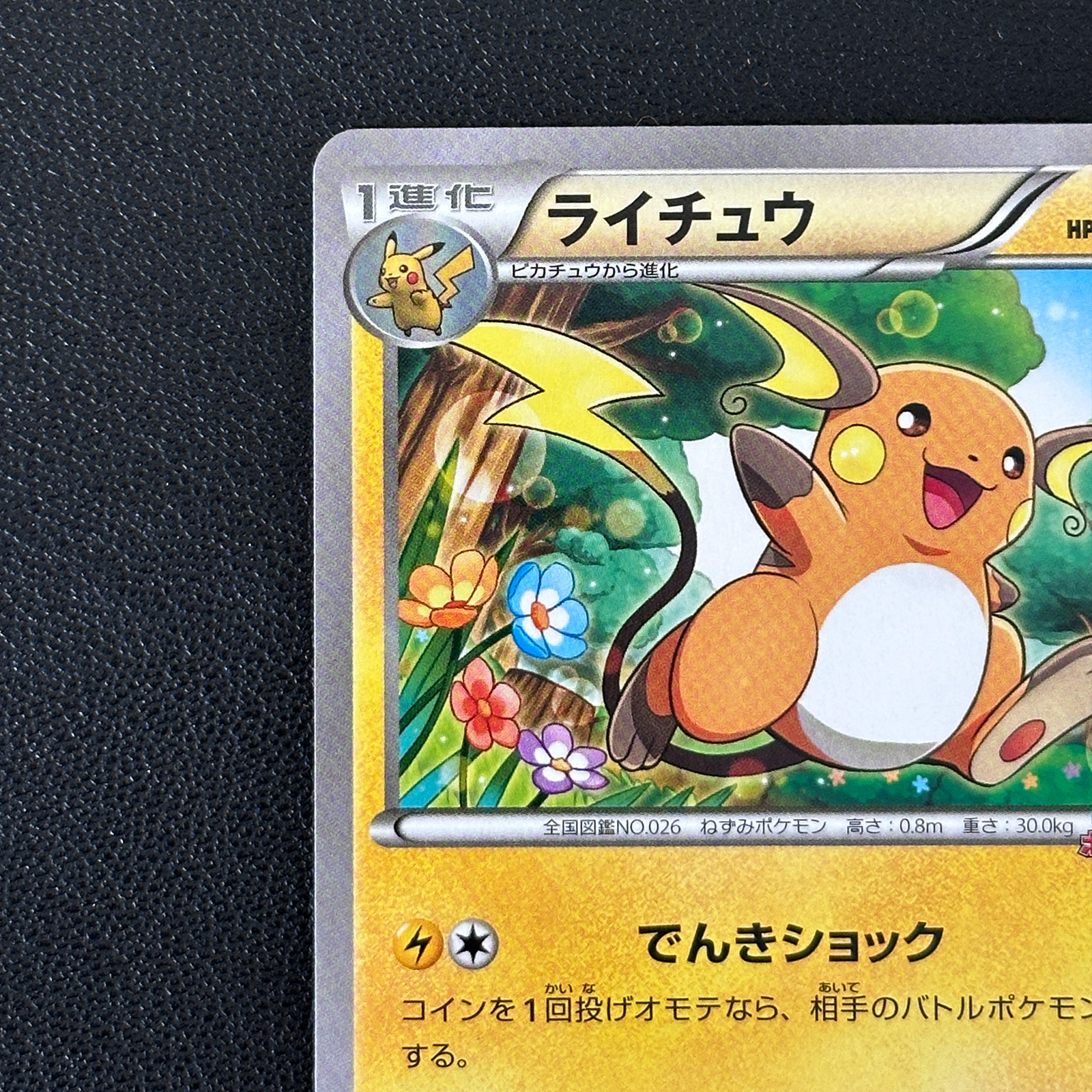 Raichu Pokémon Card Game Classroom Participation Promo 002/XY-P – Pokémon Card Japanese