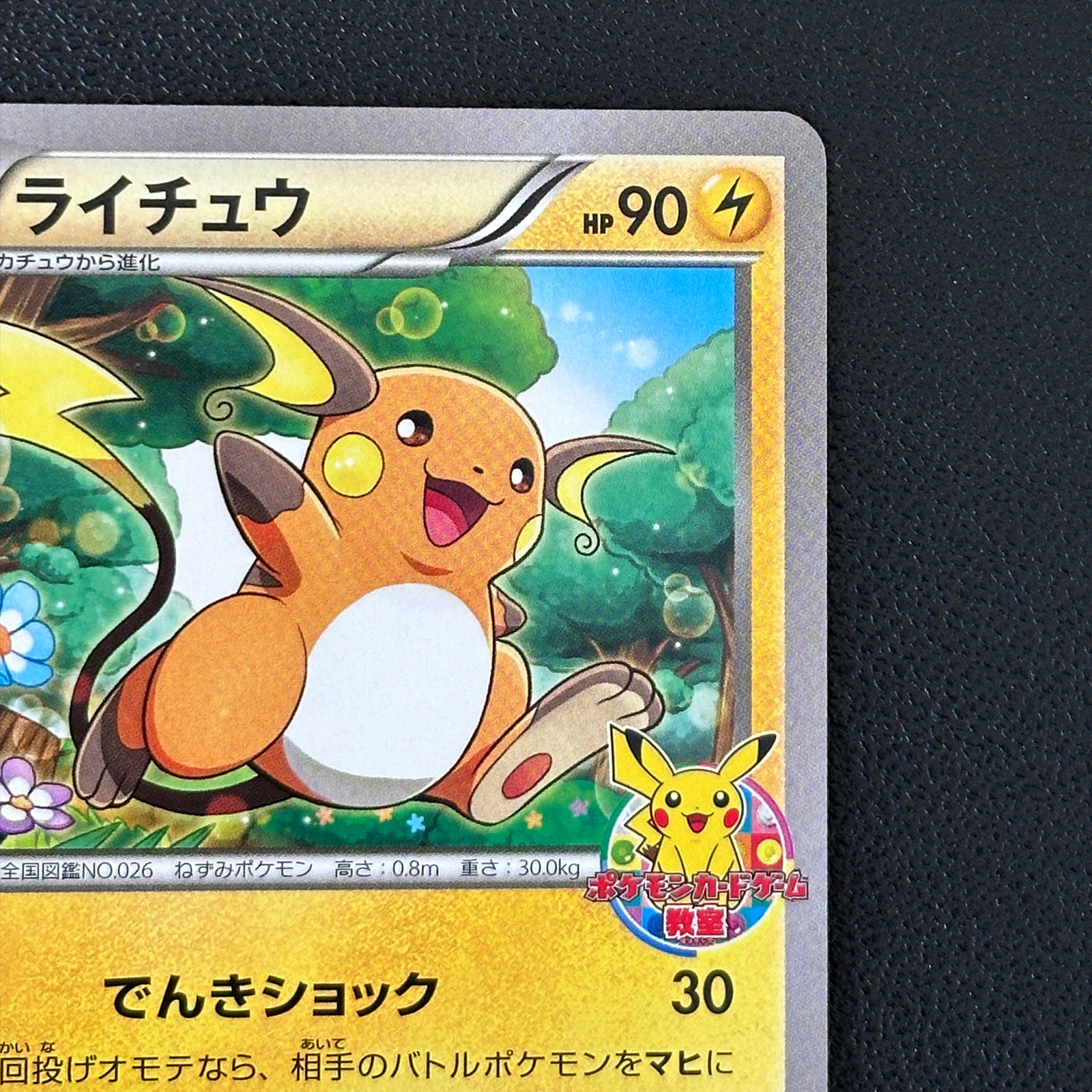 Raichu Pokémon Card Game Classroom Participation Promo 002/XY-P – Pokémon Card Japanese