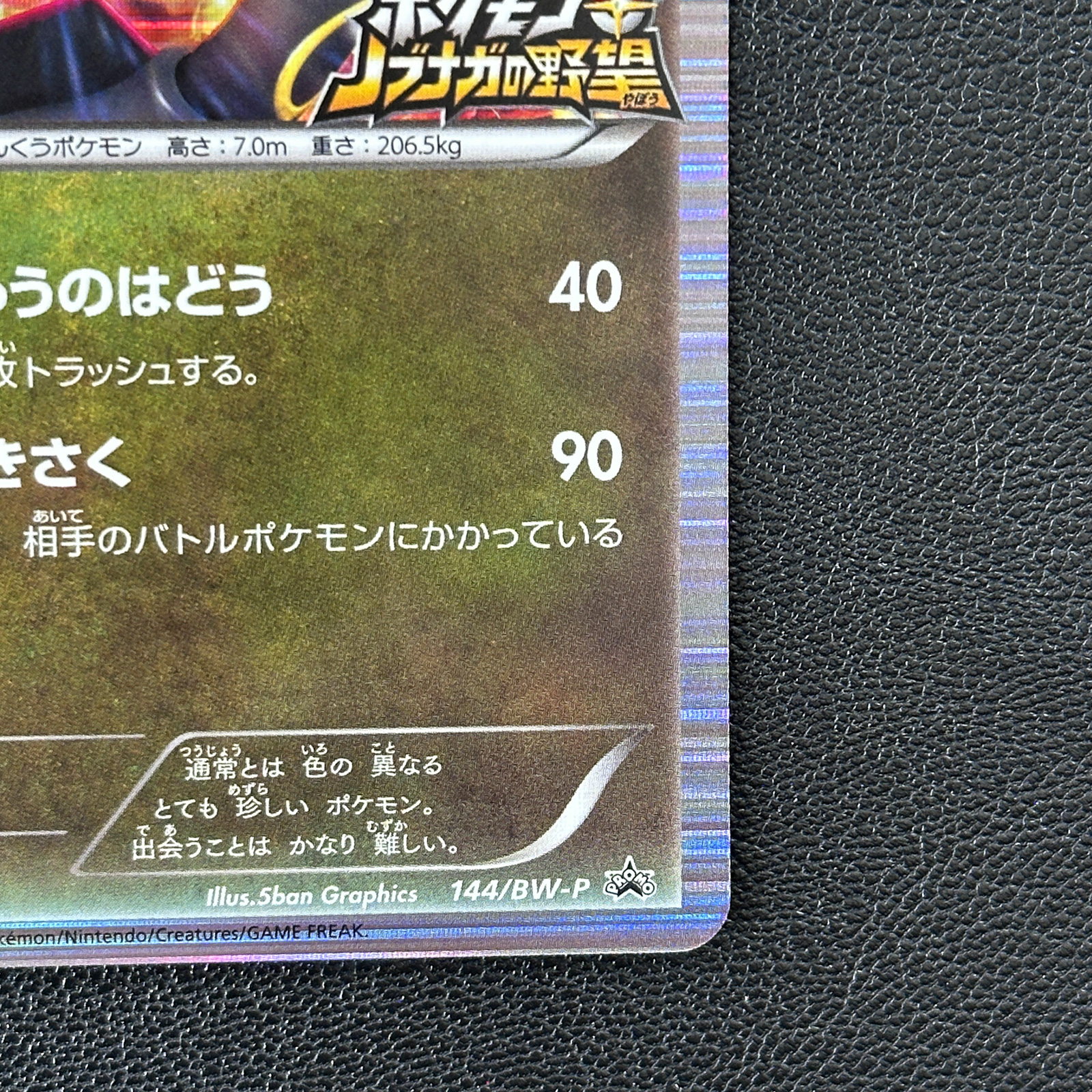 Rayquaza 144/BW-P Pokémon + Nobunaga’s Ambition Promo Holo – Japanese Pokémon Card