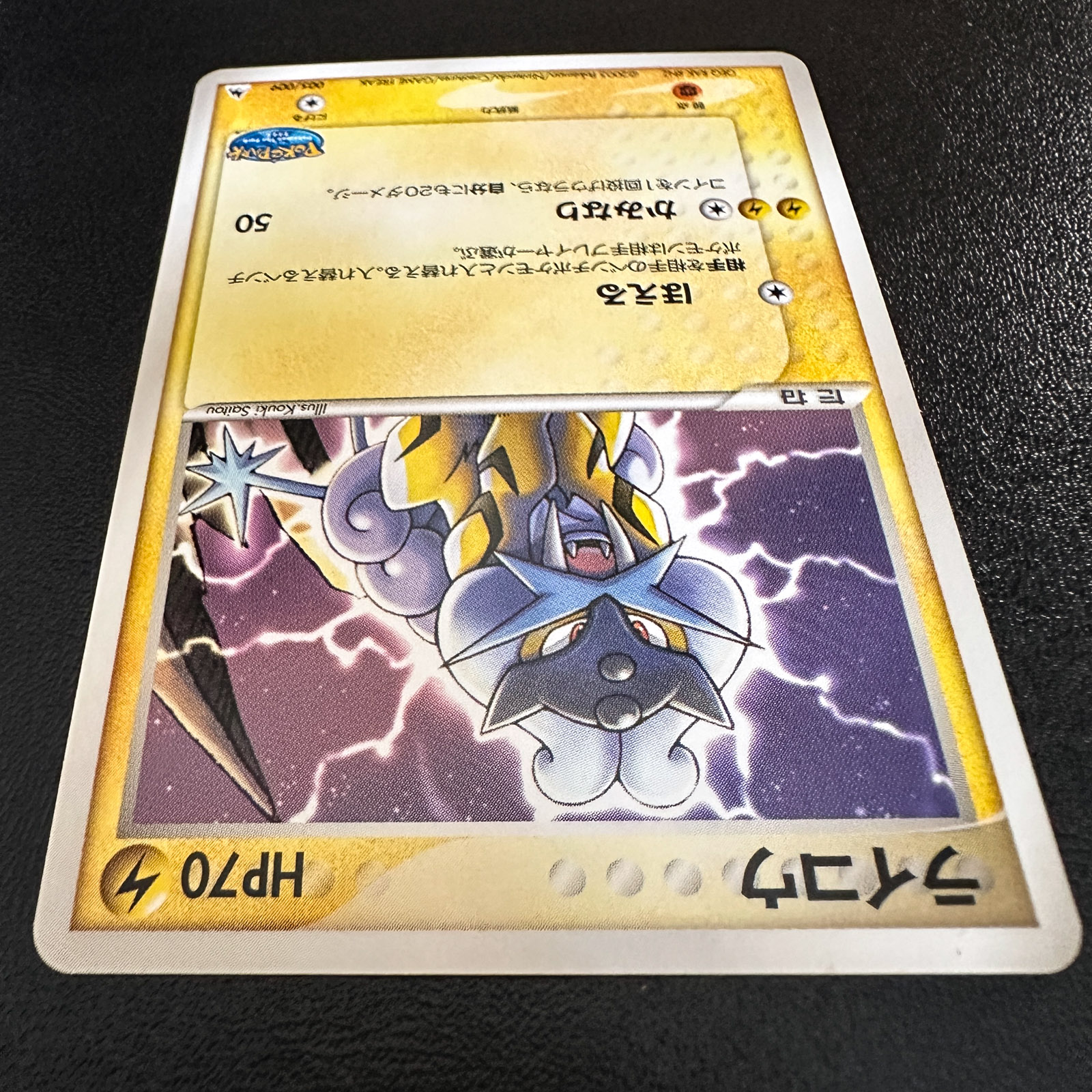 Raikou PokéPark Premium File Blue Sheet 2005 005/009 – Pokémon Card Japanese