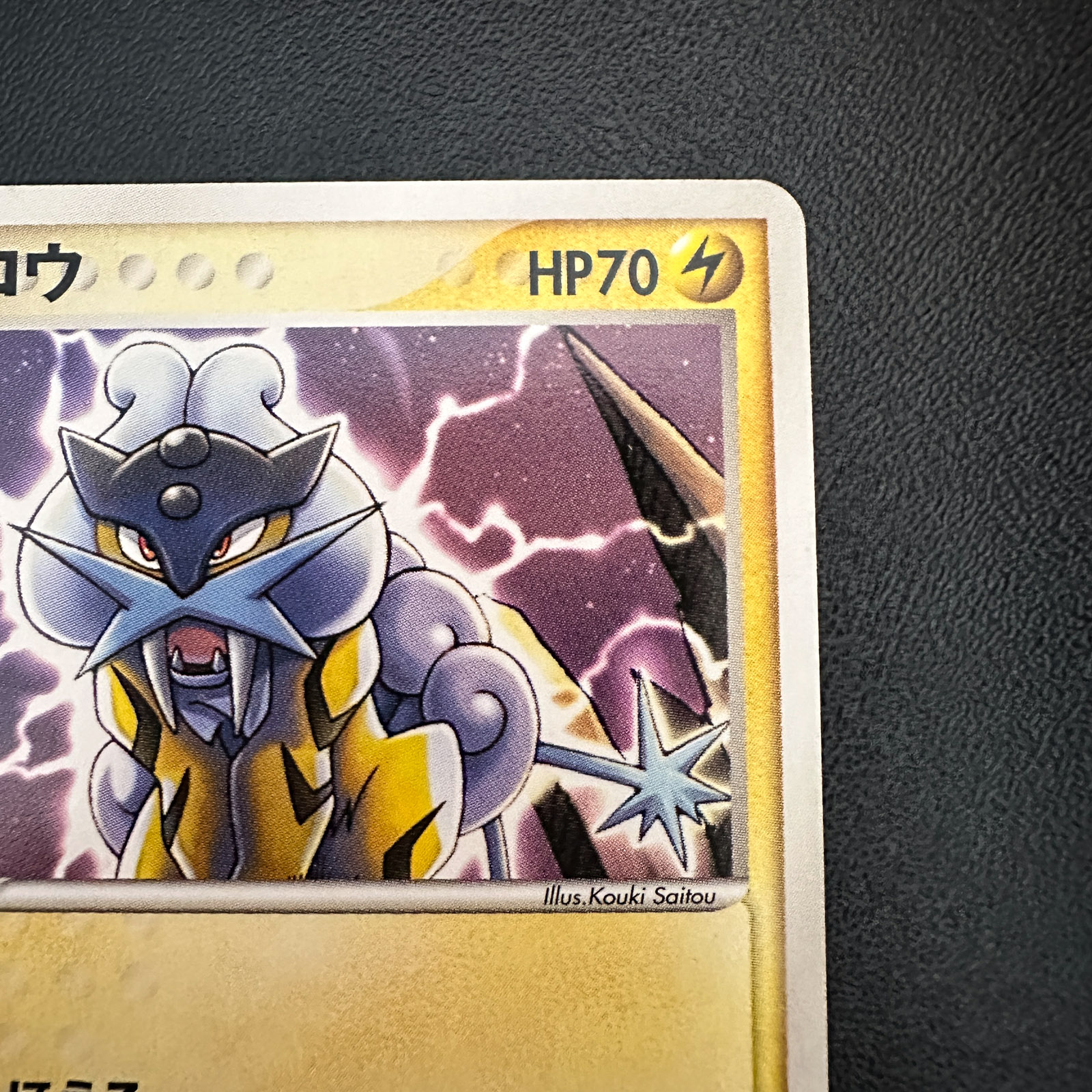 Raikou PokéPark Premium File Blue Sheet 2005 005/009 – Pokémon Card Japanese