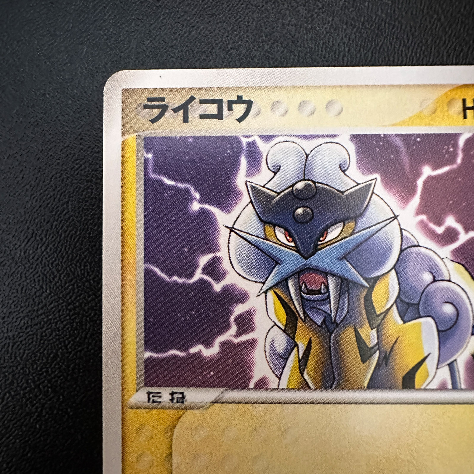 Raikou PokéPark Premium File Blue Sheet 2005 005/009 – Pokémon Card Japanese